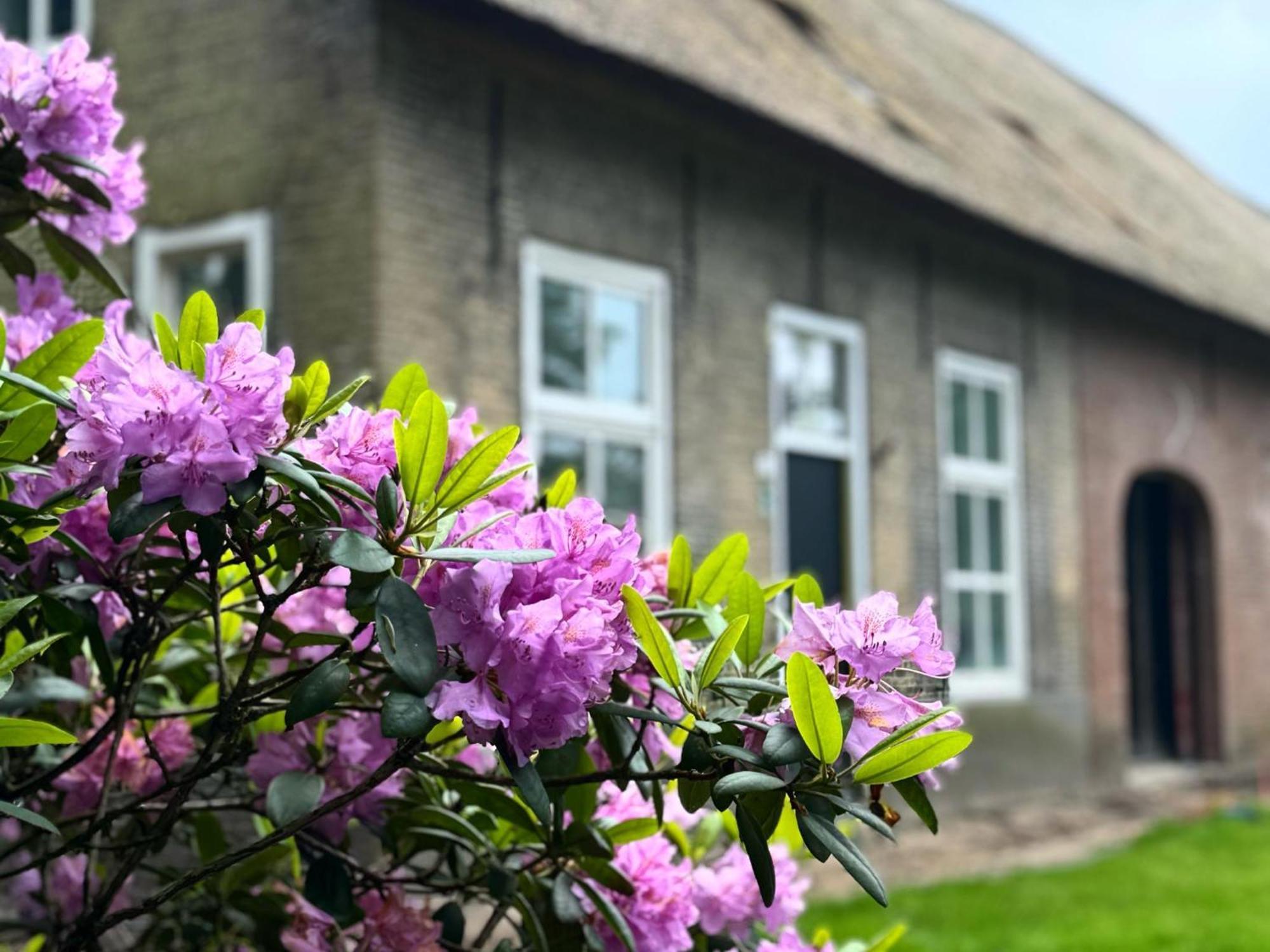 Het Hoevehuys Wagenberg Ngoại thất bức ảnh